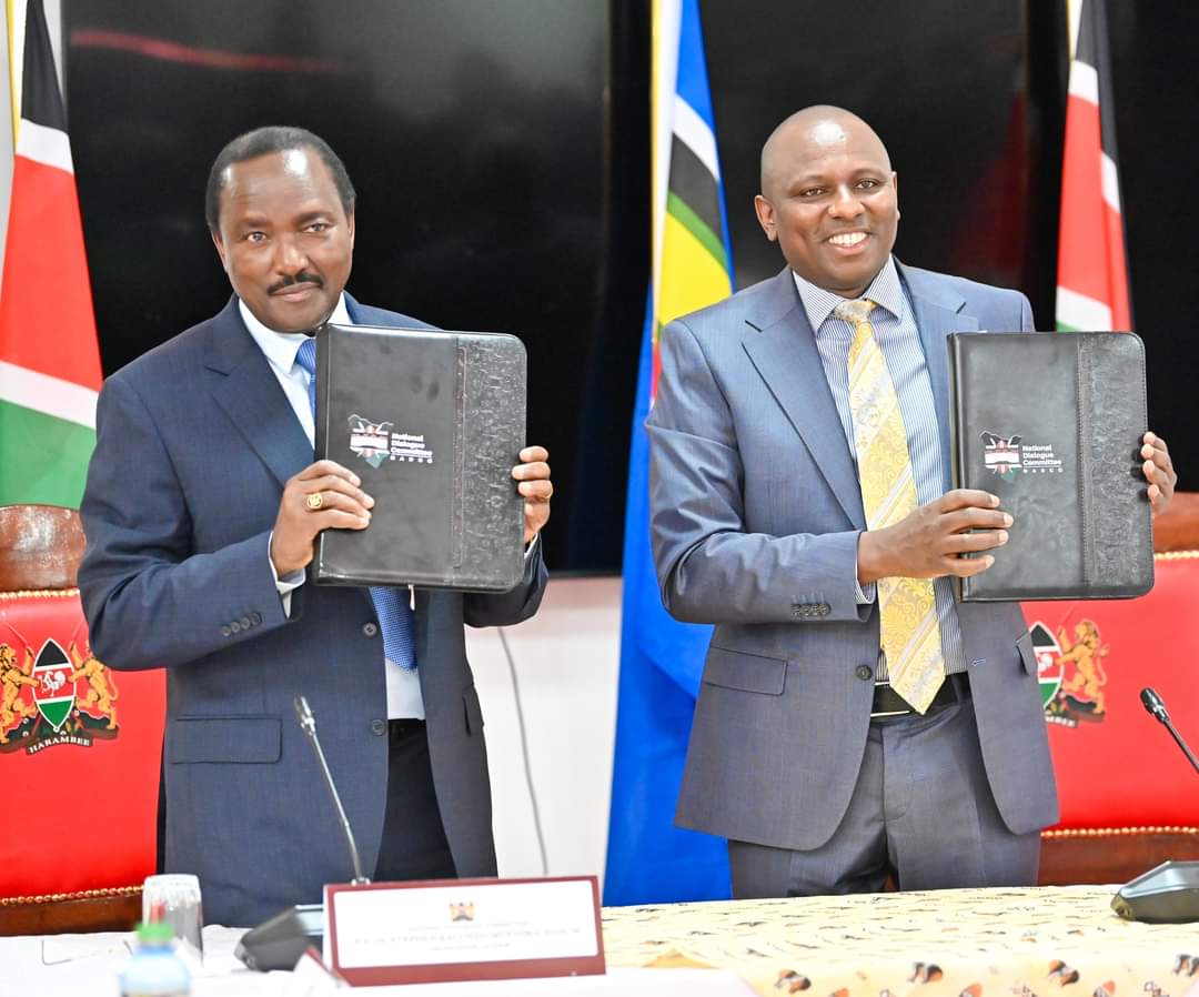 Kinara wa Wiper Kalonzo Musyoka na kiongozi wa wengi katika Bunge la Taifa Kimani Ichung'wah